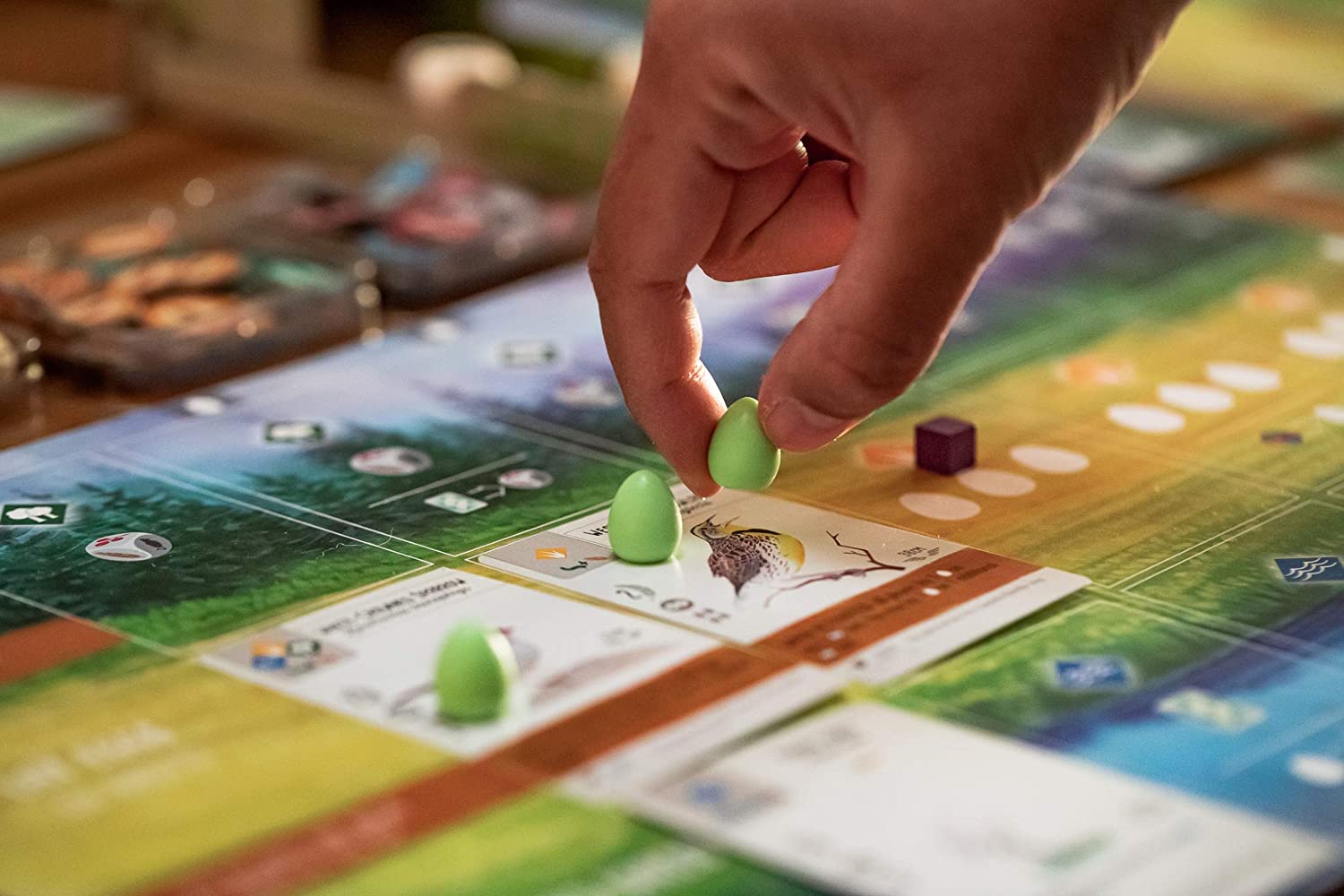 Wingspan Board Game Party Card Game Wingspan Board Game Party Card Game